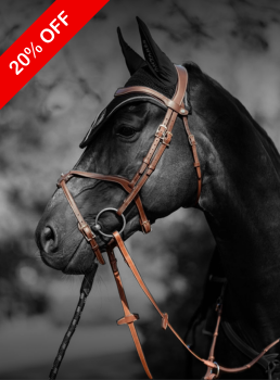 Black Friday ❘ Уздечки, поводья, подперсья