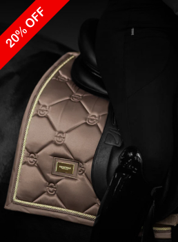 Black Friday ❘ Вальтрапы