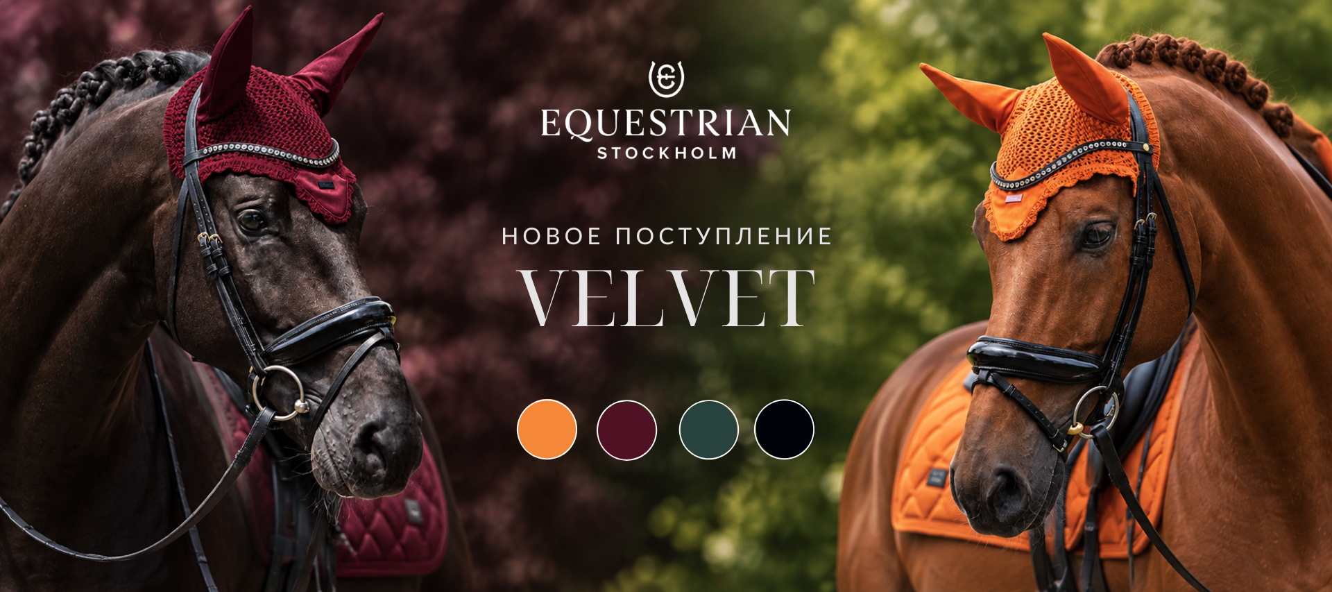 Equestrian Stockholm