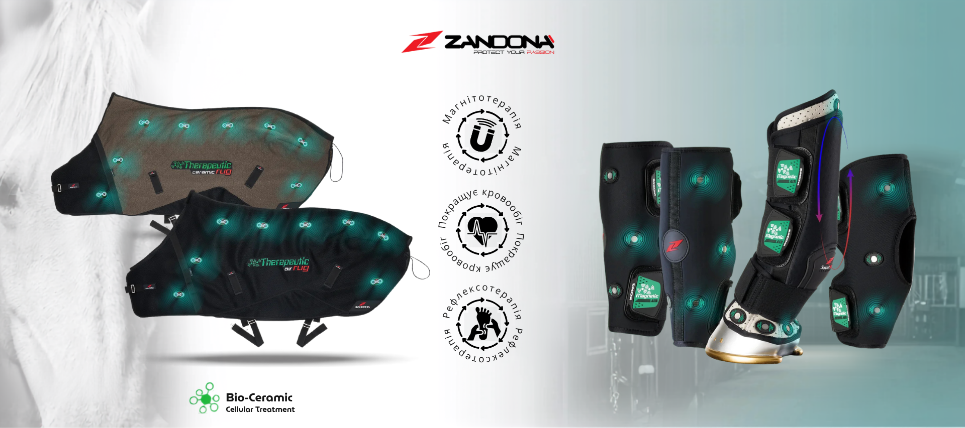Zandona