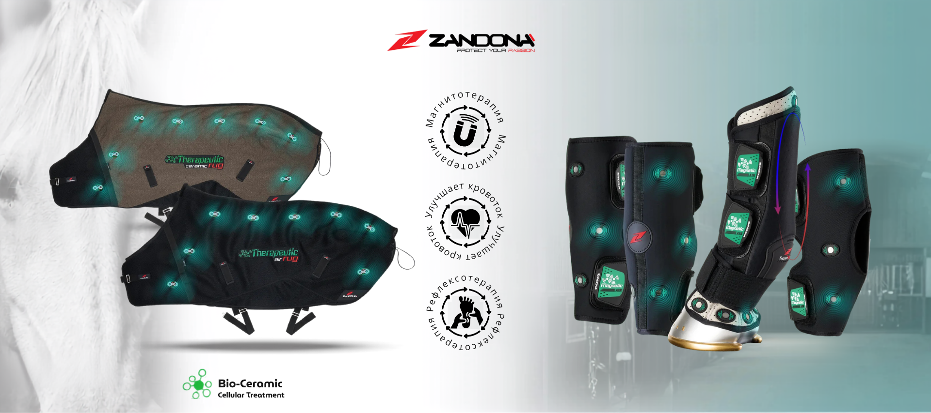 Zandona