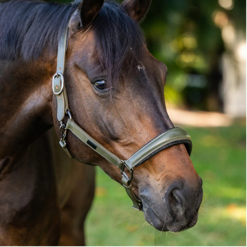Недоуздок анатомічний шкіряний Striking Valleyt, Equestrian Stockholm