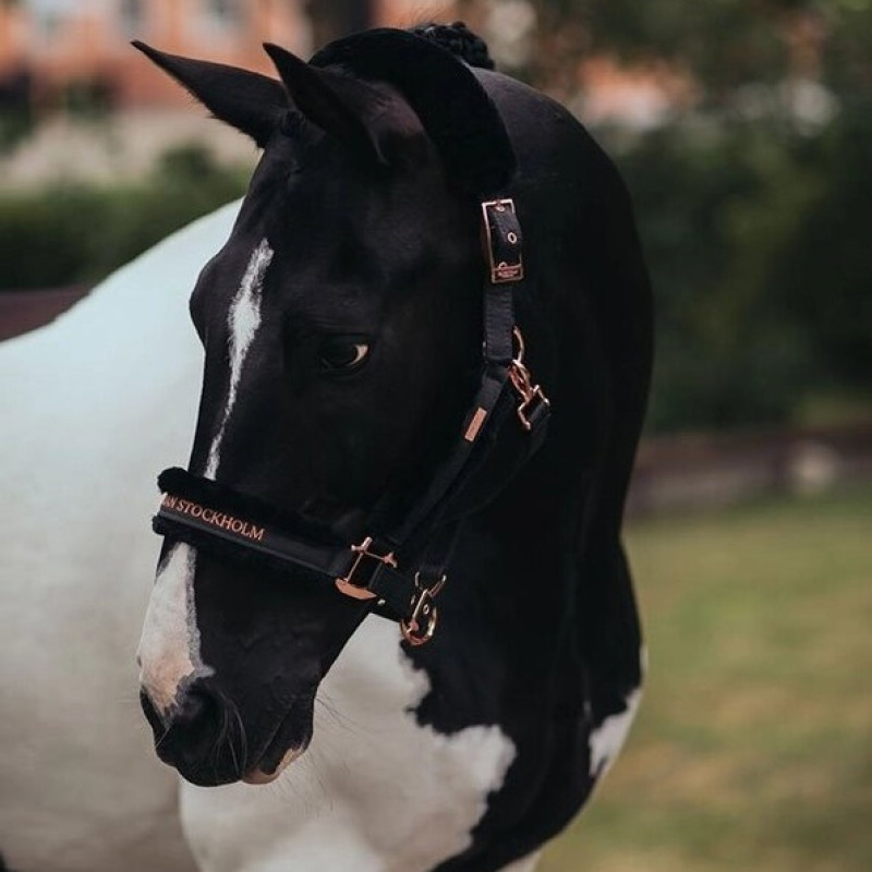 Недоуздок меховый с чомбуром Dark Sky, Equestrian Stockholm