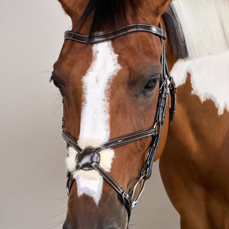 Уздечка анатомическая с мексиканским капсулем, Dyon