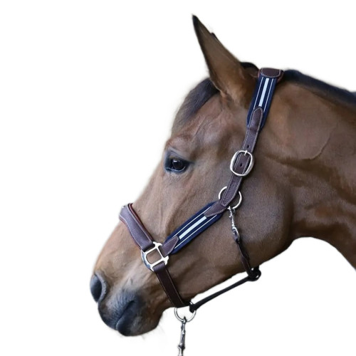 Недоуздок шкіряний Grained, Antares