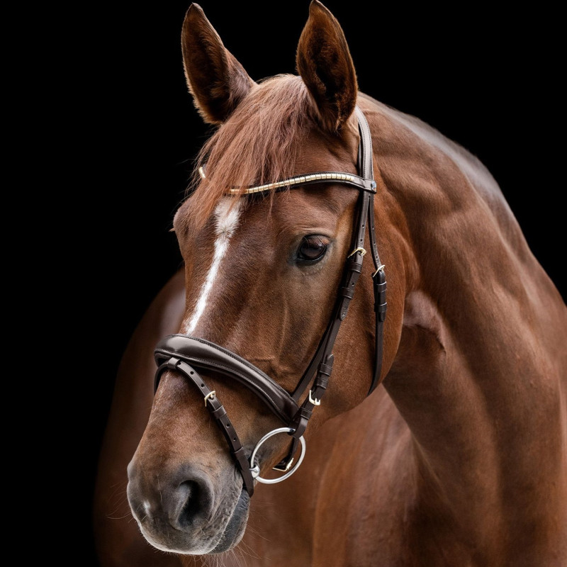 Вуздечка анатомічна з комбінованим капсулем з поводами X-Line Clincher, Waldhausen