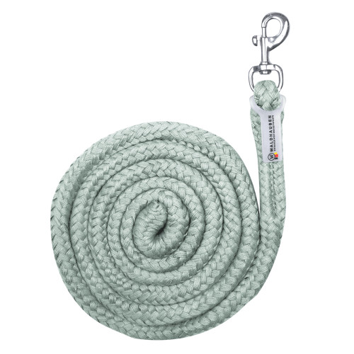 Чомбур Economic, Waldhausen