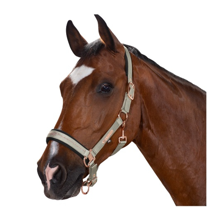 Недоуздок Glossy Double Heritage, Eskadron