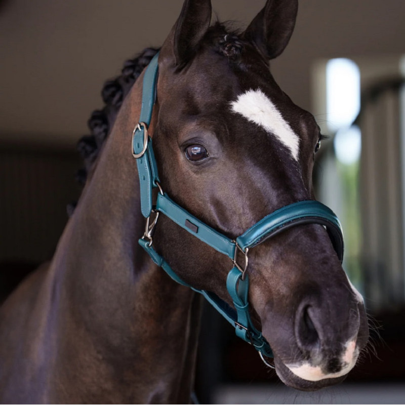 Недоуздок анатомічний шкіряний Teal Blue, Equestrian Stockholm
