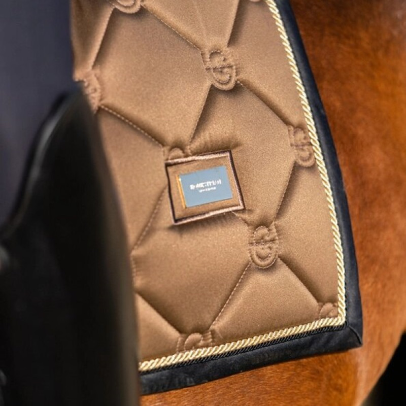 Вальтрап Golden Brass, Equestrian Stockholm