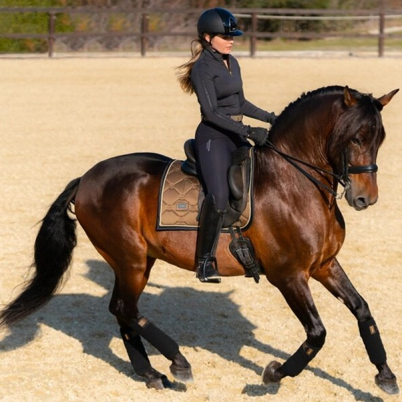 Вальтрап Golden Brass, Equestrian Stockholm