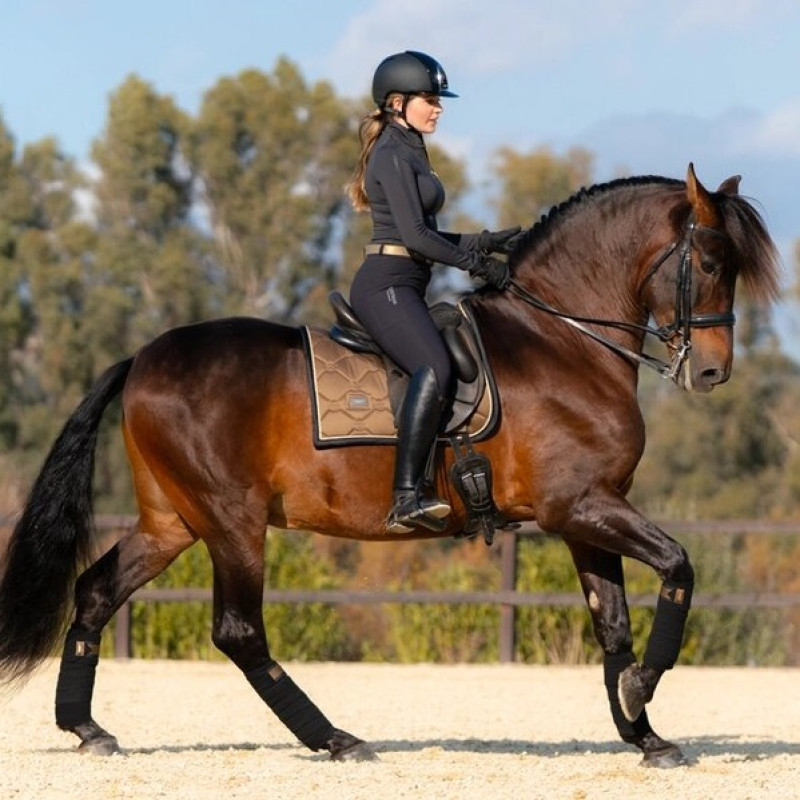 Вальтрап Golden Brass, Equestrian Stockholm