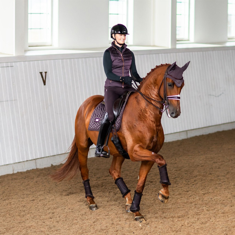 Вальтрап Modern Moonless Night, Equestrian Stockholm