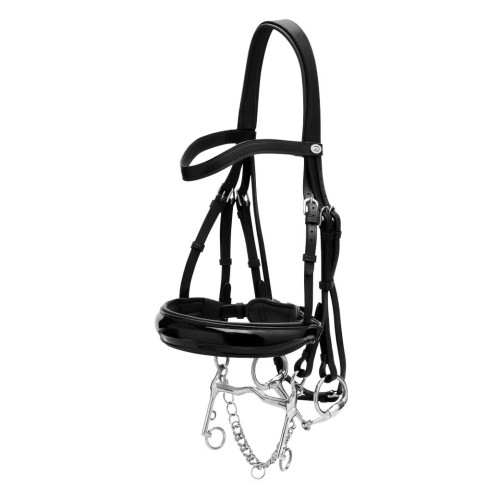 Мундштучное оголовье, Dyon