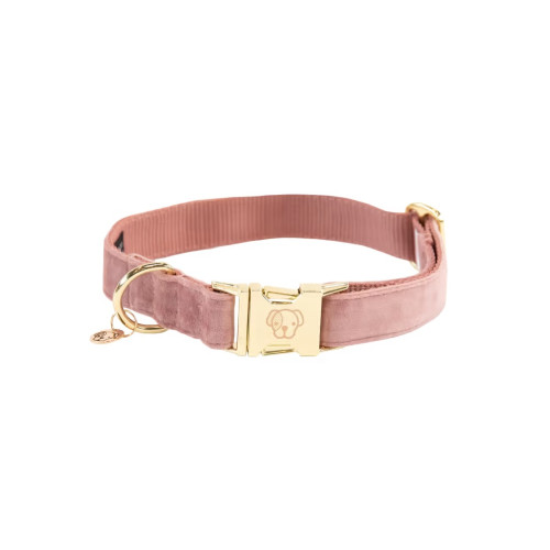Нашийник для собаки Velvet, Kentucky