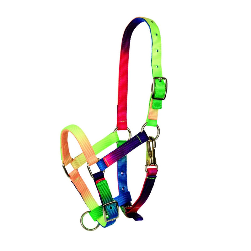 Недоуздок Multicolor, Tattini