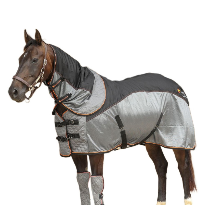 Попона магнітна, Equilibrium