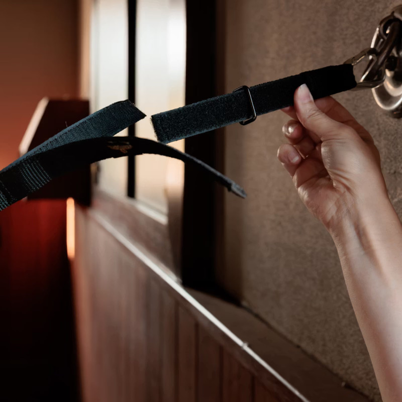 Розв'язка безпечна для стайні, Kentucky