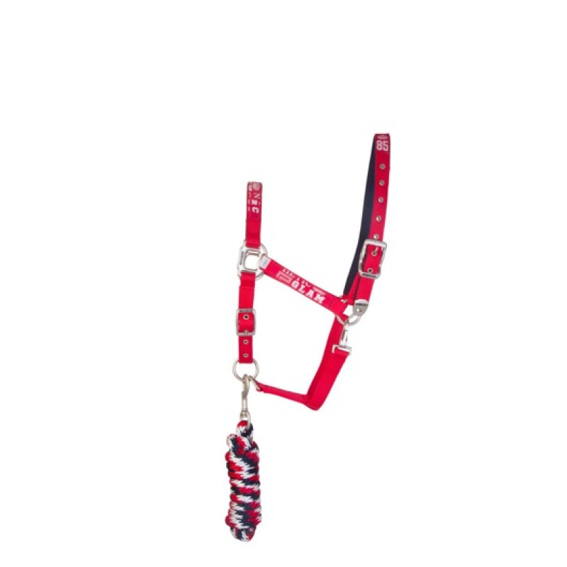 Недоуздок з чомбуром Favouritas, HV Polo