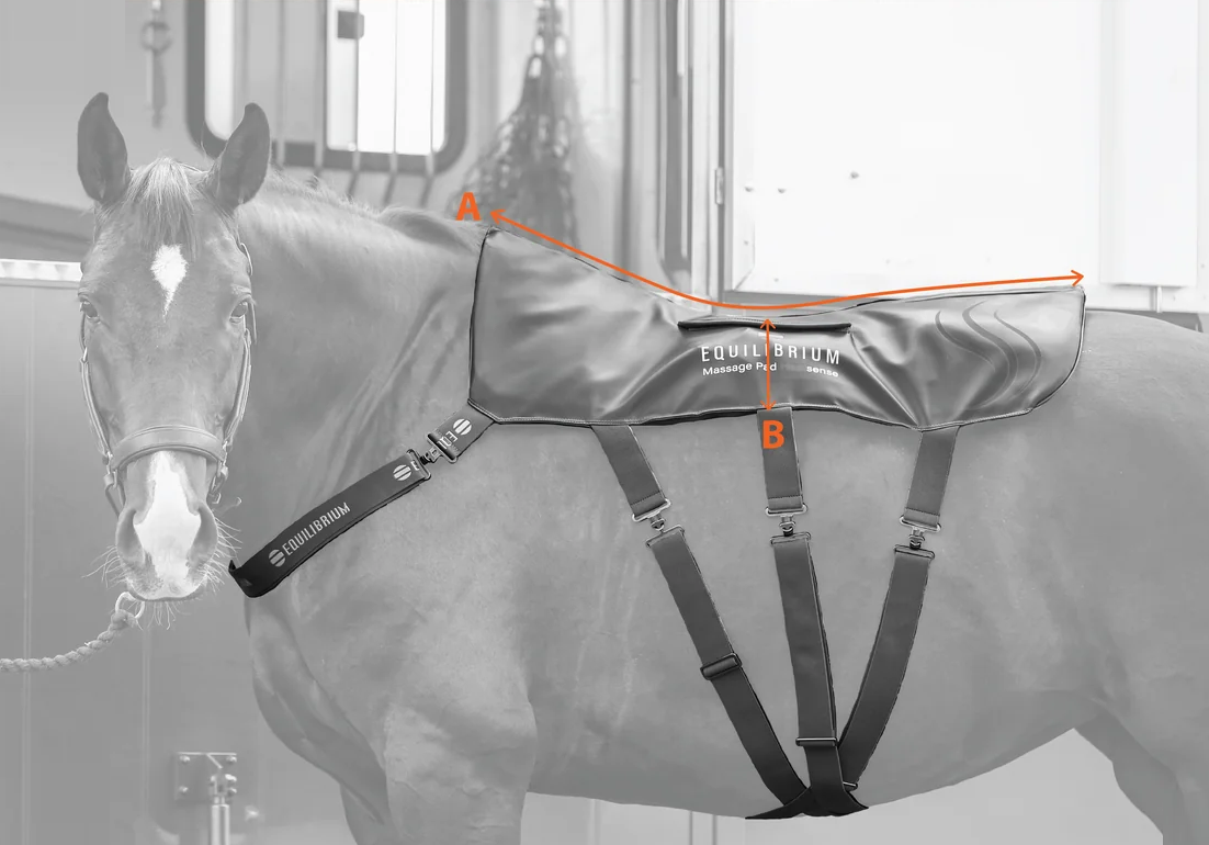 Розміри падів